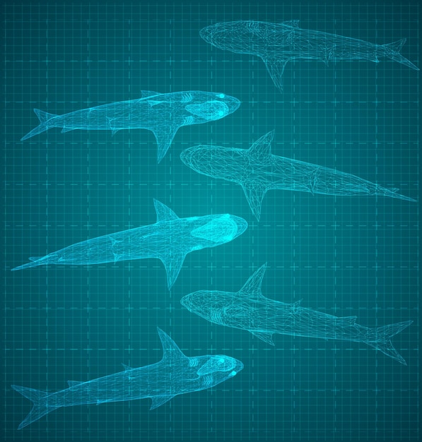 Vector 3d shark from a triangular grid