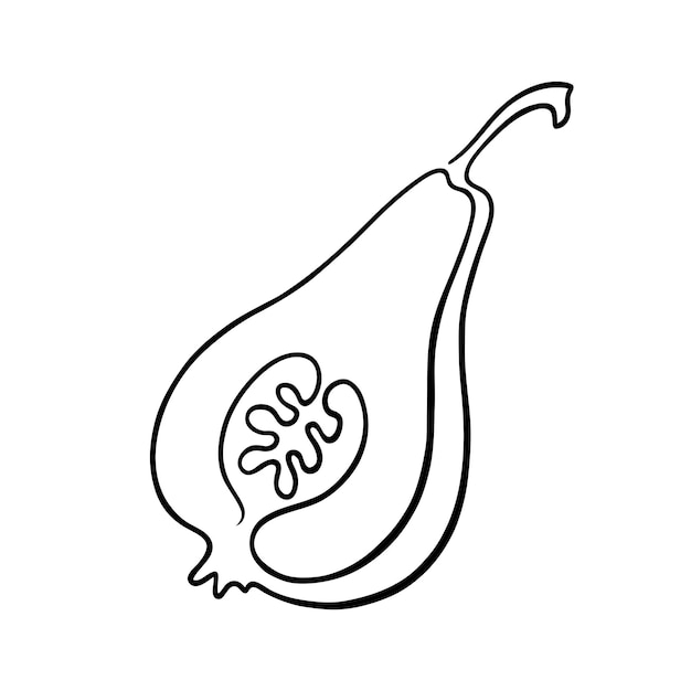 Vector black and white illustration a cut pear drawn with a single line