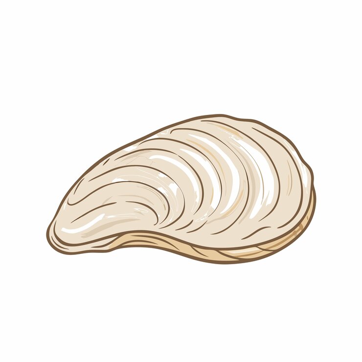 Vektör vector cartoon closed white mussel illustration isolated on white background 18