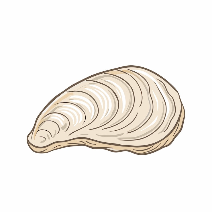 Vektör vector cartoon closed white mussel illustration isolated on white background 21