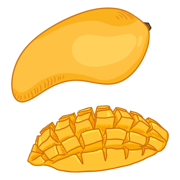 Vector Cartoon Yellow Mango Fruit Whole and Sliced