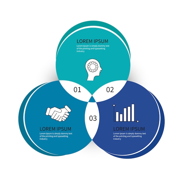 vector circle infographic diagram 3 options