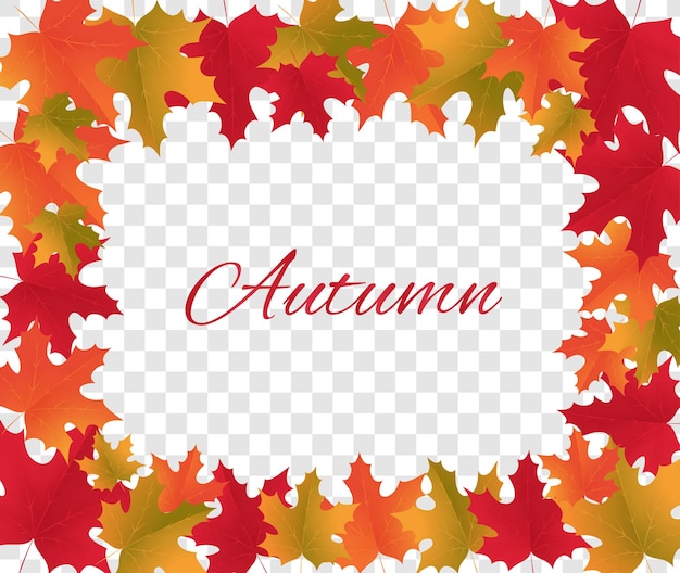 vector colorful fall leaves frame on a transparent background autumn banner autumn leaves pattern