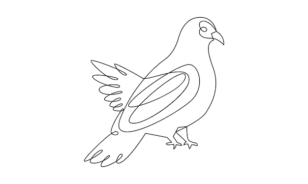 vector continuous one simple single abstract line drawing of pigeon bird