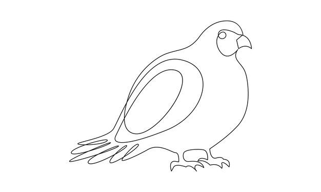 vector continuous one simple single abstract line drawing of pigeon bird