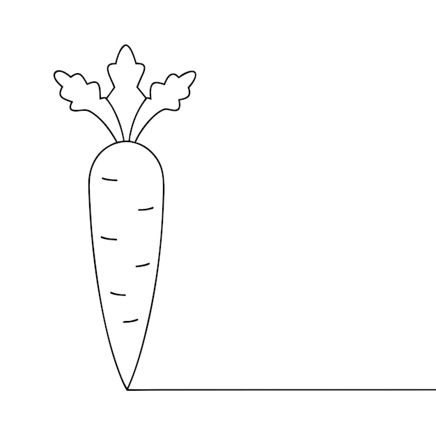 vector continuous single line drawing of carrot icon isolated on white background vector illustration 7
