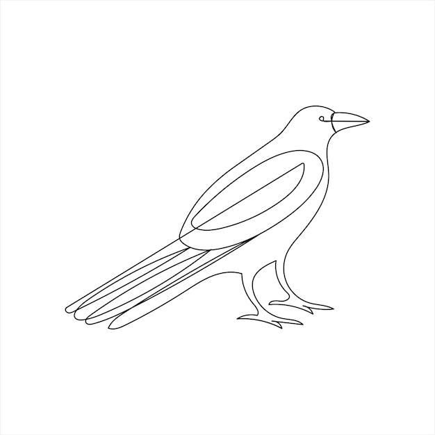 Vector crow drawing in one continuous line isolated on white background illustration minimal