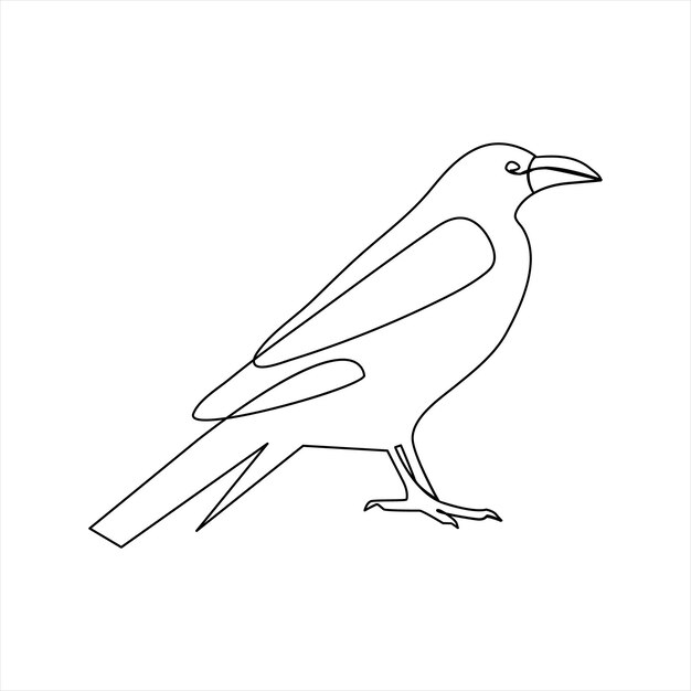 Vector crow drawing in one continuous line isolated on white background illustration minimal