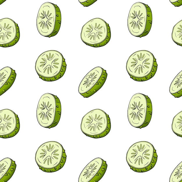 Vector cucumber pattern. Vegetable colored pattern. Detailed cucumbers drawing. Farm market product.
