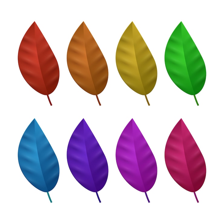 Vektör vector flat autumn forest leaves collection
