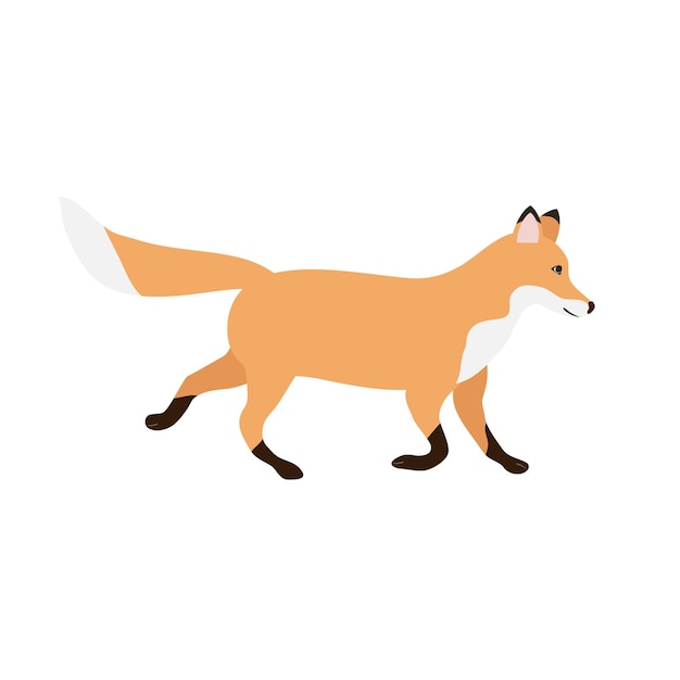 Vector hand drawn flat fox