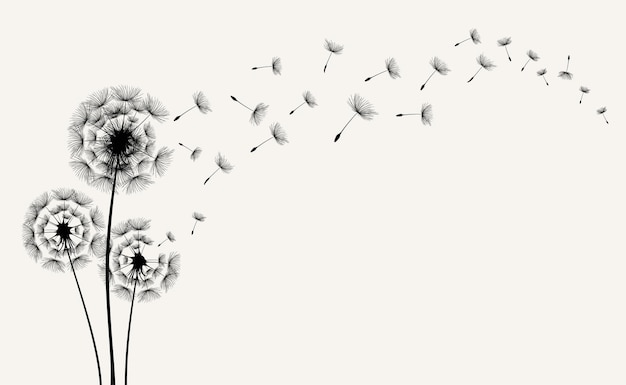 Vector illustration dandelion seed blowing in the wind