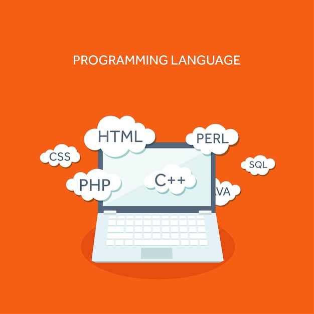 Vector illustration flat computing background programming coding web development search search