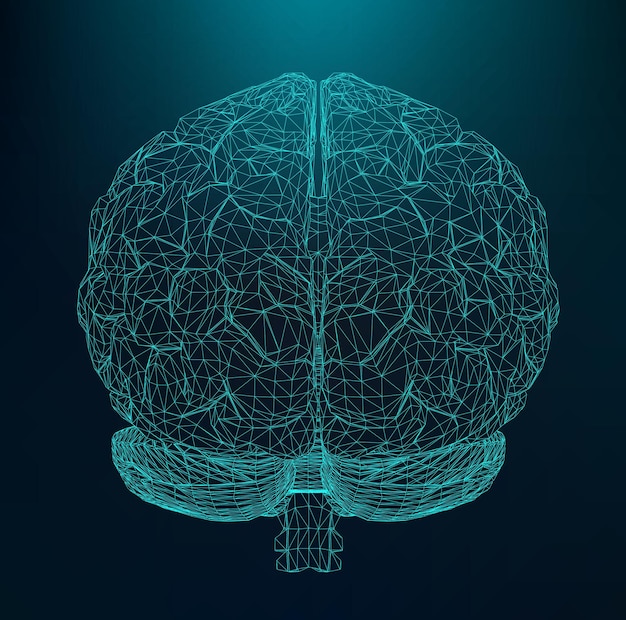 Vector illustration human brain. The structural grid of polygons. Abstract vector background.