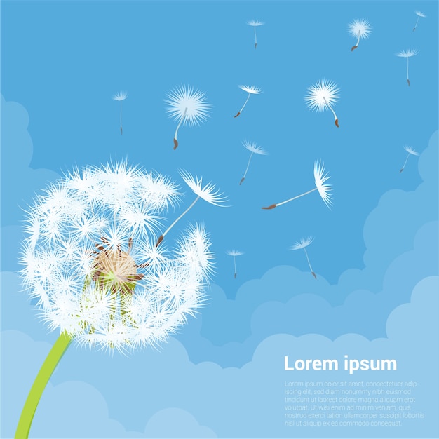 Vector illustration of dandelion seeds blowing away on the wind in the clear blue sky over green spring meadow.