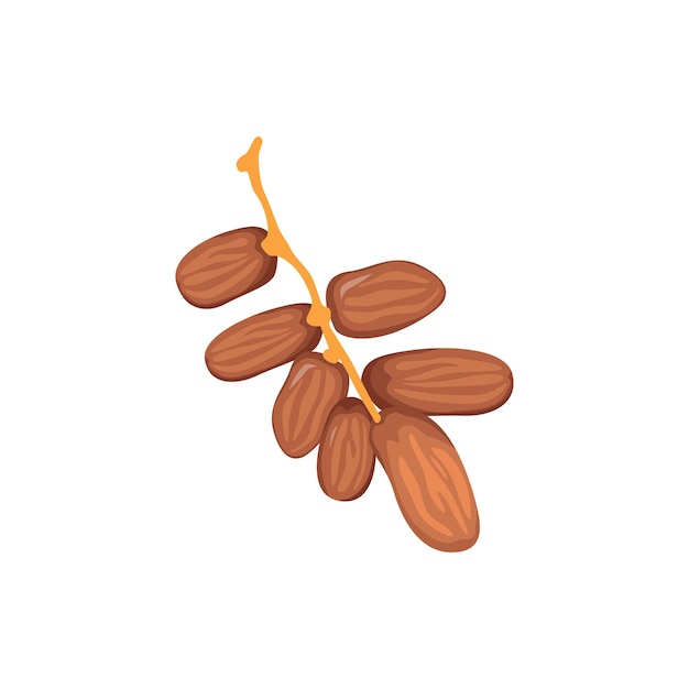 Vector Illustration of Dates Fruit for Ramadan