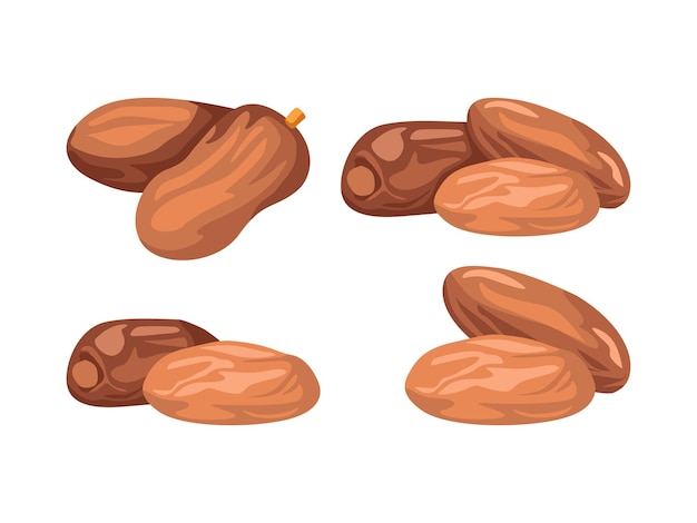 Vector Illustration of Dates Fruit for Ramadan