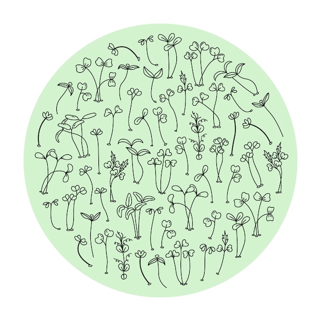 Vector illustration of microgreens. Healthy young seedlings. Healthy eco-friendly food.