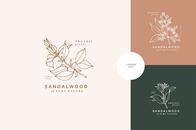 Vector illustration sandalwood branch vintage engraved style Logo composition in retro botanical style