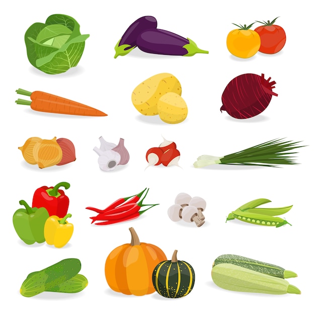 Vector illustration with set vegetable. Healthy food.