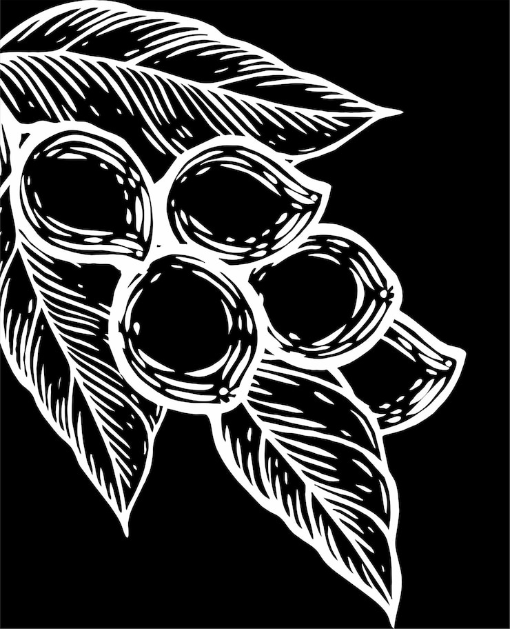 Vektör vector image design of oak plant