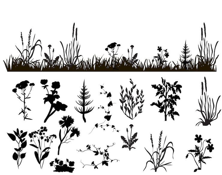 Vektör vector isolated silhouette of grass and plants isolated on white background