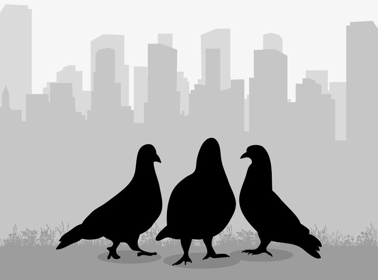 Vektör vector isolated silhouette of the pigeons
