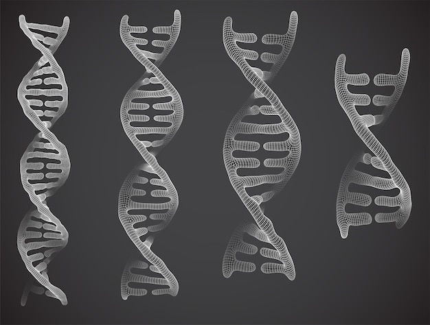 vector part of the human dna 3d triangular abstract style