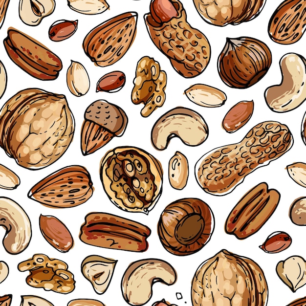 vector pattern nuts colored sketch of food farm peanuts walnuts cashews almonds hazelnuts