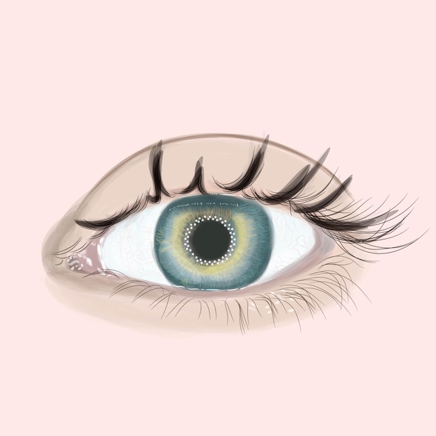 vector realistic eye