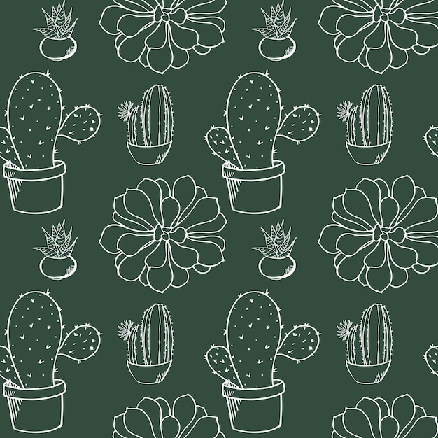 Vector seamless pattern with doodle style succulents Botanical sketches cactus in minimalistic