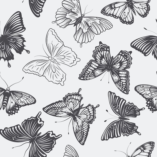 Vector Seamless Pattern with Hand Drawn Black Butterflies on White Background Butterflies Collection Vintage Vector Design Elements of Butterfly Silhouettes