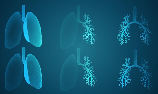 Vector set 3D lungs and bronchus on color background Element for medical design