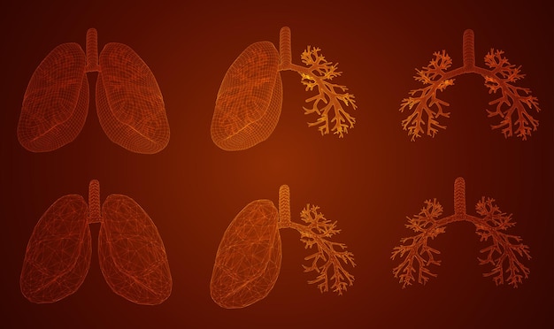 vector set lungs and bronchi 3d elements for design