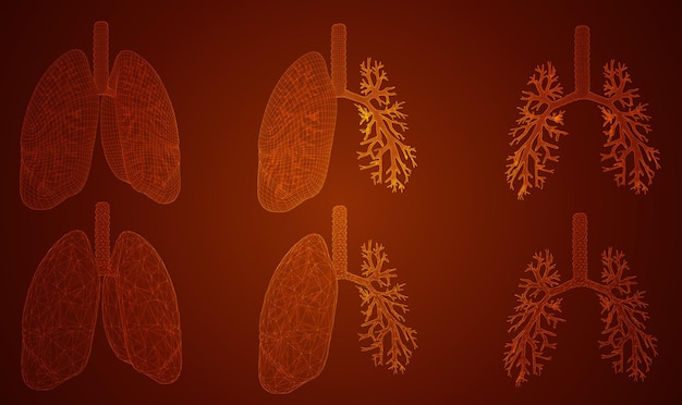 vector set lungs and bronchi 3d elements for design