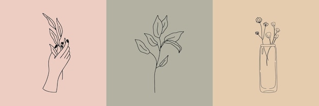 Vector set of botanical illustrations in minimal linear style minimalistic modern floral logo