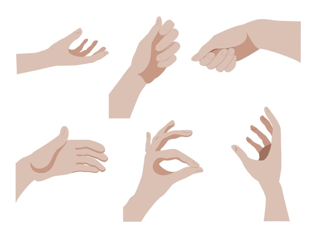 Vector set of various hand gestures, isolated on white background