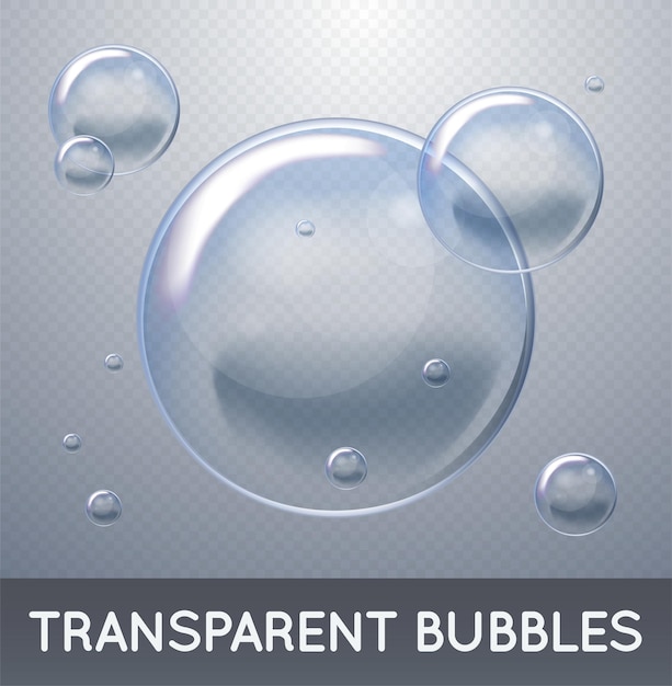 Vector Soap Water Bubbles Transparent Isolated Realistic Design Elements Can be used with any Background