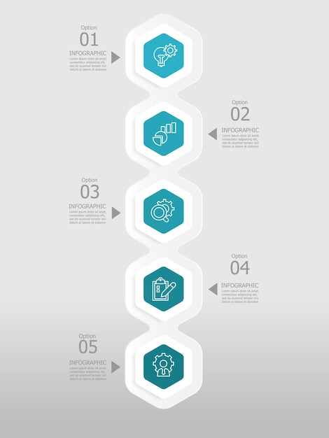vertical round hexagon steps timeline infographic element report background with business line icon 5 steps
