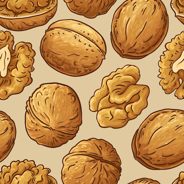 walnut nuts vector pattern on color background