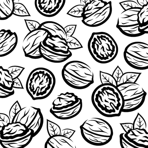 walnut pattern background set. collection icon walnut. vector