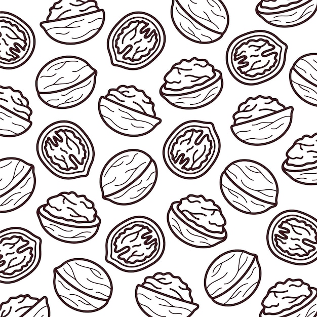 walnut pattern background set. collection icon walnut. vector