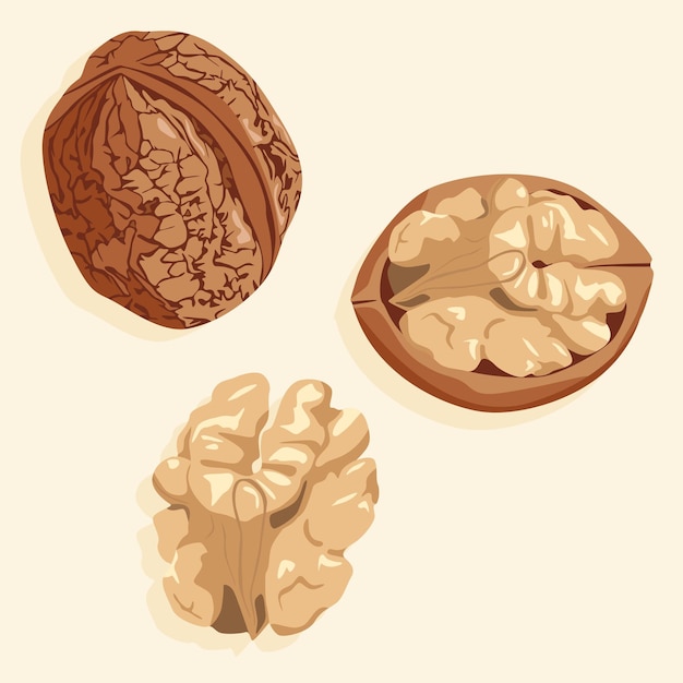 Walnuts whole and half peeled