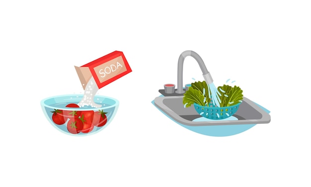 washing green lettuce leaf with tap water and pouring soda in bowl with tomato as vegetable cooking process vector set