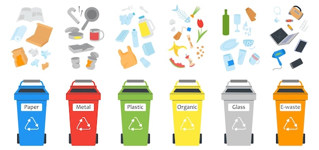 Waste separated in different bins Organic materials disposable item and paper trash Garbage recycle management containers decent vector info