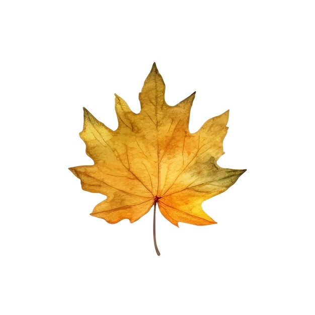 Watercolor Autumn Leaves