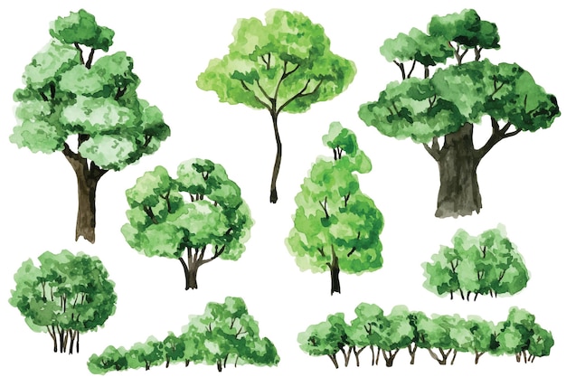 watercolor drawing set of green trees and bushes forest garden elements