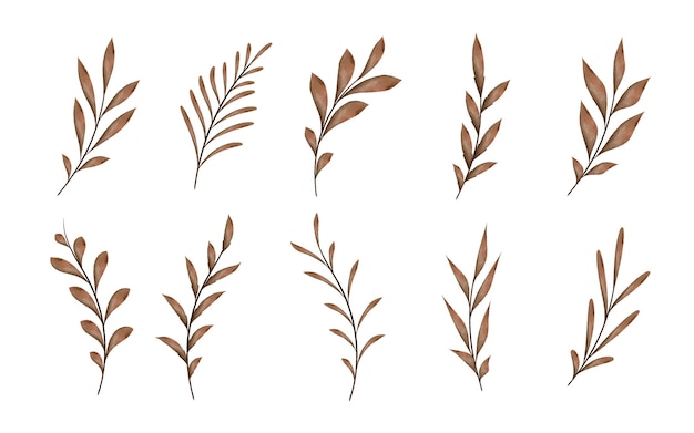 Watercolor vector branches with leaves isolated decor elements on white background