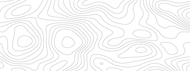 wave line topography map design curve line map contour grid wavy banner geometric form