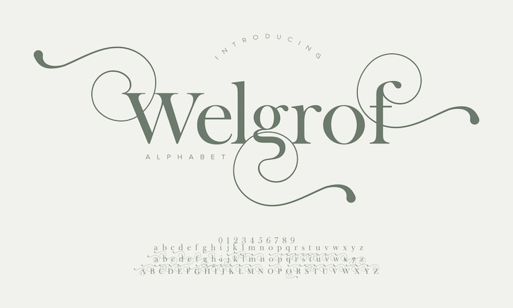 Vektör welgrof premium luxury elegant alphabet letters and numbers elegant wedding typography classic serif